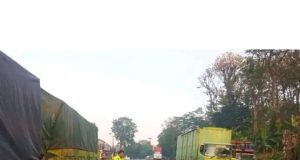 Berangkat Kerja Perawat Cantik Tewas Di Jalan Pantura