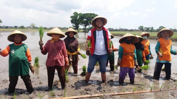 Gerakan Tanam Bersama Kelompok Tani Desa Gondangsari Dihadiri Calon Bupati Klaten.