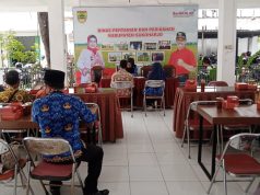 Budidaya Tanam Dengan Sistim Screen House Langkah Jitu Stabilkan Hasil Sayuran Dan Buah.