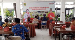 Budidaya Tanam Dengan Sistim Screen House Langkah Jitu Stabilkan Hasil Sayuran Dan Buah.
