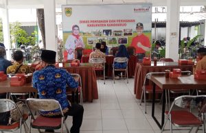 Budidaya Tanam Dengan Sistim Screen House Langkah Jitu Stabilkan Hasil Sayuran Dan Buah.