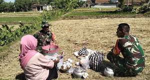 Dukung Program Pemerintah Untuk Ketahanan Pangan Nasional, Babinsa Koramil Klaten Utara Sosialisasikan Serapan Gabah Kering
