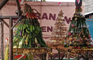 Kirab Gunungan Tradisi Sadranan, Kembali Di Gelar Warga Jenon, Sebagai Bentuk Rasa Syukur.
