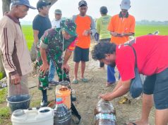 Babinsa Desa Balak Dan Perangkat Desa Dampingi Uji Coba Pupuk Cair Organik Di Lahan Kelompok Tani Sumber Rejeki