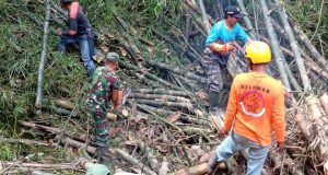 Babinsa Desa Bero Klaten Bersama Relawan Dan Warga Gelar Karya Bakti Evakuasi Rumpun Bambu Di Sungai Cino