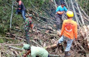 Babinsa Desa Bero Klaten Bersama Relawan Dan Warga Gelar Karya Bakti Evakuasi Rumpun Bambu Di Sungai Cino