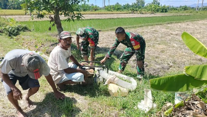 Dampingi Petani Binaan, Babinsa Koramil 24 Klaten Utara Bersihkan Gulma Dan Tinjau Pompanisasi Di Barenglor