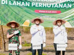 Dandim 0723/Klaten Hadiri Penanaman Jagung Serentak Kuartal III Di Lahan Perhutanan Sosial Desa Krakitan