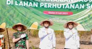 Dandim 0723/Klaten Hadiri Penanaman Jagung Serentak Kuartal III Di Lahan Perhutanan Sosial Desa Krakitan