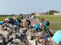 Gotong Royong TNI Dan Warga Warnai Pembangunan Talud Di TMMD Sengkuyung Desa Karangwungu Klaten