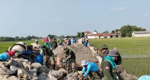 Gotong Royong TNI Dan Warga Warnai Pembangunan Talud Di TMMD Sengkuyung Desa Karangwungu Klaten
