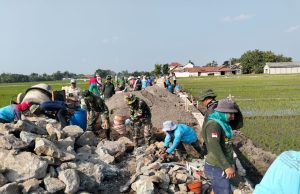 Gotong Royong TNI Dan Warga Warnai Pembangunan Talud Di TMMD Sengkuyung Desa Karangwungu Klaten