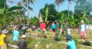 Sinergi TNI Dan Petani Wedi Klaten Kendalikan Hama Untuk Jaga Ketahanan Pangan