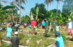 Sinergi TNI Dan Petani Wedi Klaten Kendalikan Hama Untuk Jaga Ketahanan Pangan