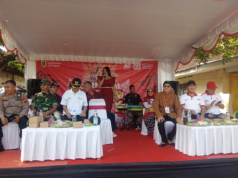 Karnaval Seni Budaya Semarakan Perayaan HUT Kemerdekaan RI Ke-80 Yang Gelar Pemerintah Desa Bero.
