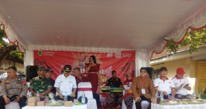 Karnaval Seni Budaya Semarakan Perayaan HUT Kemerdekaan RI Ke-80 Yang Gelar Pemerintah Desa Bero.