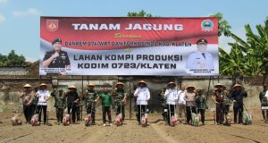 Kodim 0723/Klaten Tanam Jagung Bersama: Kolaborasi Strategis Wujudkan Ketahanan Pangan Nasional Di Klaten