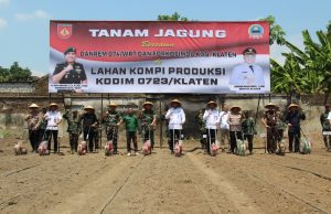 Kodim 0723/Klaten Tanam Jagung Bersama: Kolaborasi Strategis Wujudkan Ketahanan Pangan Nasional Di Klaten