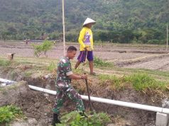Dukung Kemandirian Pangan, Babinsa Cawas Pantau Pembangunan Pipa Irigasi Desa Burikan