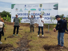 Program Tanam 1000 Pohon Di Desa Ponggok, Bentuk Mitigasi dan Adaptasi Terhadap Perubahan Iklim