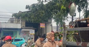 Sigap Brimob Metro Jaya Tangani Pohon Tumbang di Ciputat