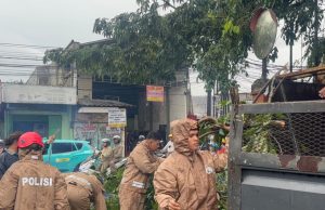Sigap Brimob Metro Jaya Tangani Pohon Tumbang di Ciputat