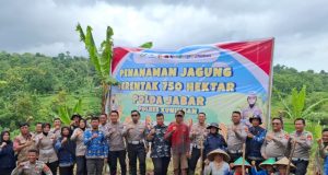 TAK HANYA ATUR LALU LINTAS, POLANTAS POLRES KUNINGAN TURUN KE SAWAH TANAM JAGUNG 2 HEKTARE KUNINGAN