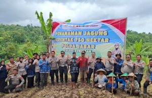 TAK HANYA ATUR LALU LINTAS, POLANTAS POLRES KUNINGAN TURUN KE SAWAH TANAM JAGUNG 2 HEKTARE KUNINGAN