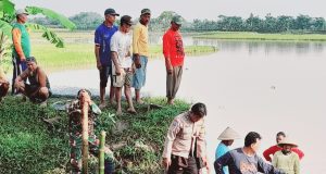 Babinsa Koramil 20/Cawas Bersama Warga Perbaiki Tanggul Sungai Padangan
