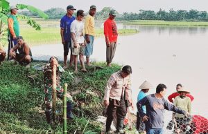 Babinsa Koramil 20/Cawas Bersama Warga Perbaiki Tanggul Sungai Padangan