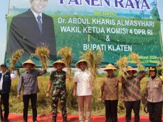 Dandim 0723/Klaten Dampingi Wakil Ketua Komisi IV DPR RI Panen Raya Padi Varietas R32 Di Klaten