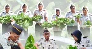 Dukung Ketahanan Pangan Lapas Klaten Panen Sayuran Segar, Hasil Pembinaan Warga Binaan