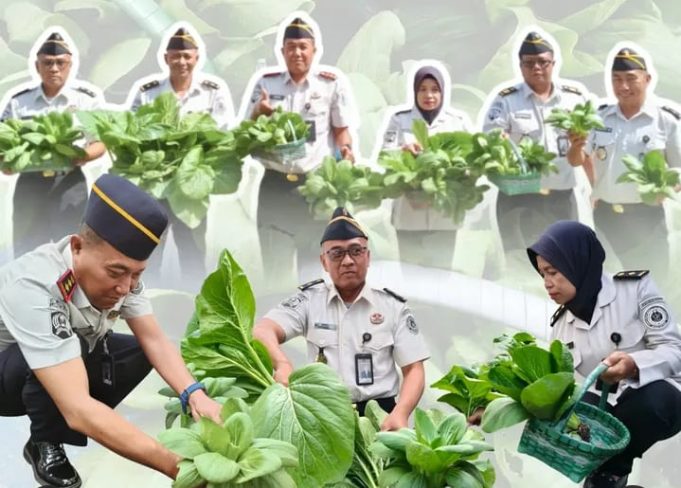 Dukung Ketahanan Pangan Lapas Klaten Panen Sayuran Segar, Hasil Pembinaan Warga Binaan