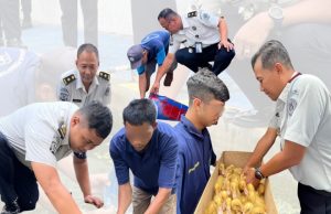 Lapas Klaten Bersama C.V. Pandawa Tebar Benih Lele dan Budidaya Bebek