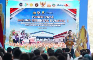 Panen Raya di Tuban, Presiden Prabowo Apresiasi Peran Polri Wujudkan Ketahanan Pangan Nasional